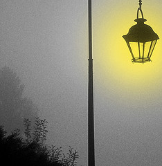 Light the way