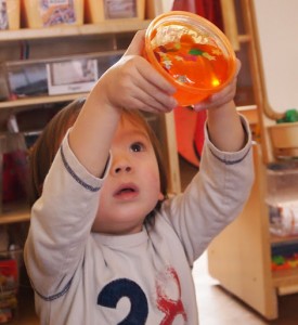 things in jelly