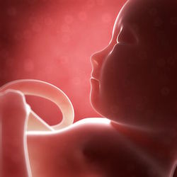 Development Milestones Pt 1