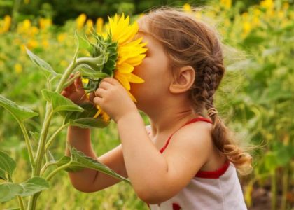 child and sunflower
